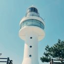 동해시-59 | 강릉, 삼척 가기 전 동해시 묵호항 도째비골 스카이밸리 방문 리뷰