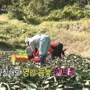 (주)약이되는밥상 이미지