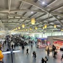 (주)인터플랜컴퍼니 - 중구 | 김해국제공항 대한항공 라운지 / 뉴질랜드 도착 + 워킹홀리데이 (D+1) 시작 🏃‍♀️