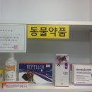다나동물약국 이미지