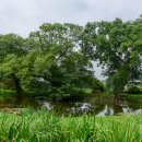 여주-0767 이미지