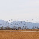 하단동179 이미지