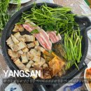 원동2리 마을회관 | 경남 양산 원동 미나리 삼겹살 5번집 방문 후기