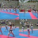 연세대 태권도 이미지