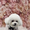 지개동산 이미지