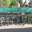 무궁화건영 이미지