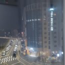신신호텔 제주월드컵 네이버블로그