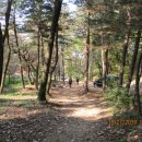 구룡천1 이미지