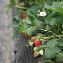 홍성그린 이미지