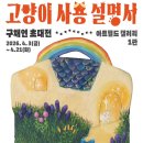 [서울/문래역/🎟️] 아트필드 갤러리 1관 <고양이사용설명서> 구채연 무료 전시