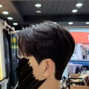 오키드헤어(orchid hair) 네이버블로그