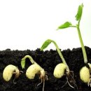 누리태권도 이미지