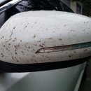 구룡세차장 이미지