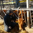 자동축산 이미지