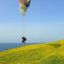 제주와봄 이미지