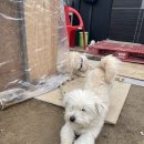 세경비디오 | 놀고먹고 일하다 보니 2월도 끝