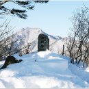 2020-주141 이미지