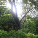 수목원약수터 이미지