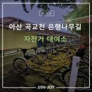 은행나무길 대여소 | 아산 은행나무길 자전거 대여소