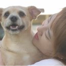 단식농장 이미지