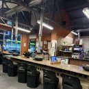 오천사치킨(삼풍점) | 강원도 속초맛집 자갈직화구이 끝판왕 돌돼지314 솔직 후기