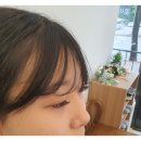 뷰티끌리네속눈썹전주점 - 전주시 완산구 효자로 194 | 뷰티끌리네속눈썹전주점