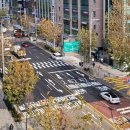 앞 횡단보도 이미지