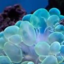 바다 속 이야기 이미지