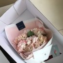 핑크모먼트