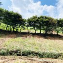 알프스랜드 이미지