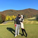 세븐버디스크린골프 | 골프여행 칠곡 골프장 세븐밸리cc 1부 후기 + 리조트