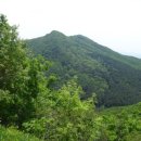 소걸음 펜션 이미지