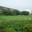 아키타 8 - 옛 구보다성인 센슈공원에서 정원을 구경하다! 이미지