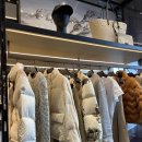 브로크린세탁전문점 | 몽클레어 브로쎄 패딩구매후기 +사이즈팁 (대전신세계몽클레어)