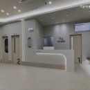 기운찬 동물병원 | 하남동물병원 기운찬동물병원 정확한 진단 제공