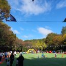 지혜숲어린이집 이미지