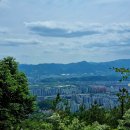 초례산 숲속 힐링로드 이미지