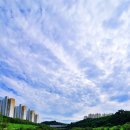 영천강 강변로 이미지