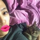샘솟는 가구마을 이미지