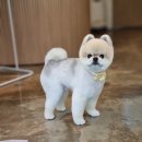 위위그루밍 이미지