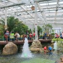 지리산허브밸리 이미지