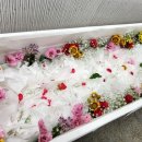 부산전문장례식장 이미지