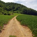 가이아공인중개사사무소 이미지