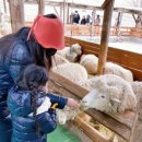 루키목장 이미지