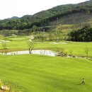 송백로-3 이미지