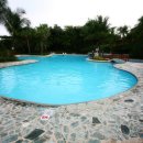 알레그레 이미지