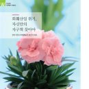 하일농장 이미지