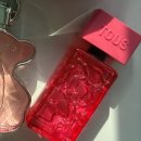 러브미여성의원 | [2026 발렌타인데이 선물]추천, 토스(TOUS) 향수 2종 카오스 &amp; 러브미 시향 후기 : 나를 위한 핑크빛 힐링