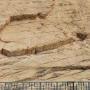 강춘희 농장 이미지