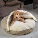 멍멍이집 이미지